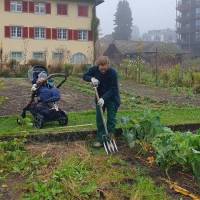 Betrachtungen aus dem Kinderwagen