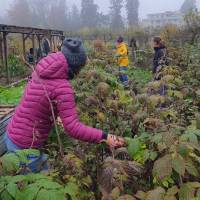 2025_2_Gartentsag_8.11_14_original