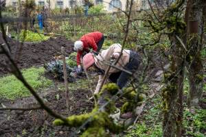 2025_2_Gartentsag_8.11_20_original