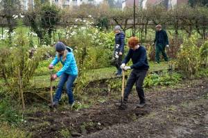 Boden auflockern und anschliessend Gründüngung einsäen.