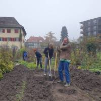 Graben ausheben, damit anschliessend  Schnittgut darin deponiert werden kann und daraus ein Hügelbee