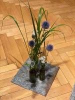 Chorblume_original