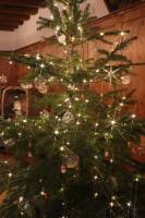 IMG_0673-min_original