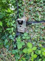 Die Fotofalle wird auf die Wildtierduchegänge gerichtet