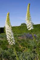 2026_04_27_C_von_Adrian_Muller_0006_Web1000_original