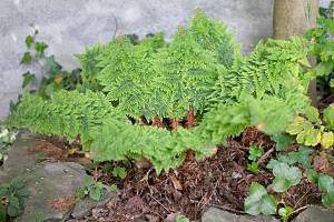 2026_05_25_M_von_Adrian_Muller_0007Web1500_original