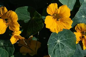 2026_07_13_N_von_Adrian_Muller_0010Web1500_original