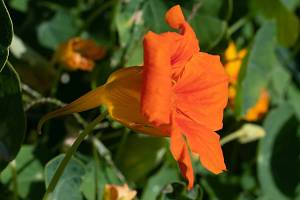 2026_07_13_N_von_Adrian_Muller_0013Web1500_original