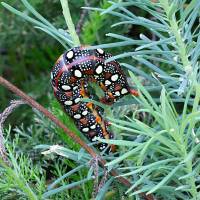 2026_08_28_C_von_Adrian_Muller_0020Web_original
