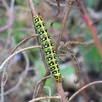2026_08_28_C_von_Adrian_Muller_0021Web_original