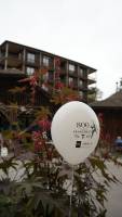 Baloon202_original