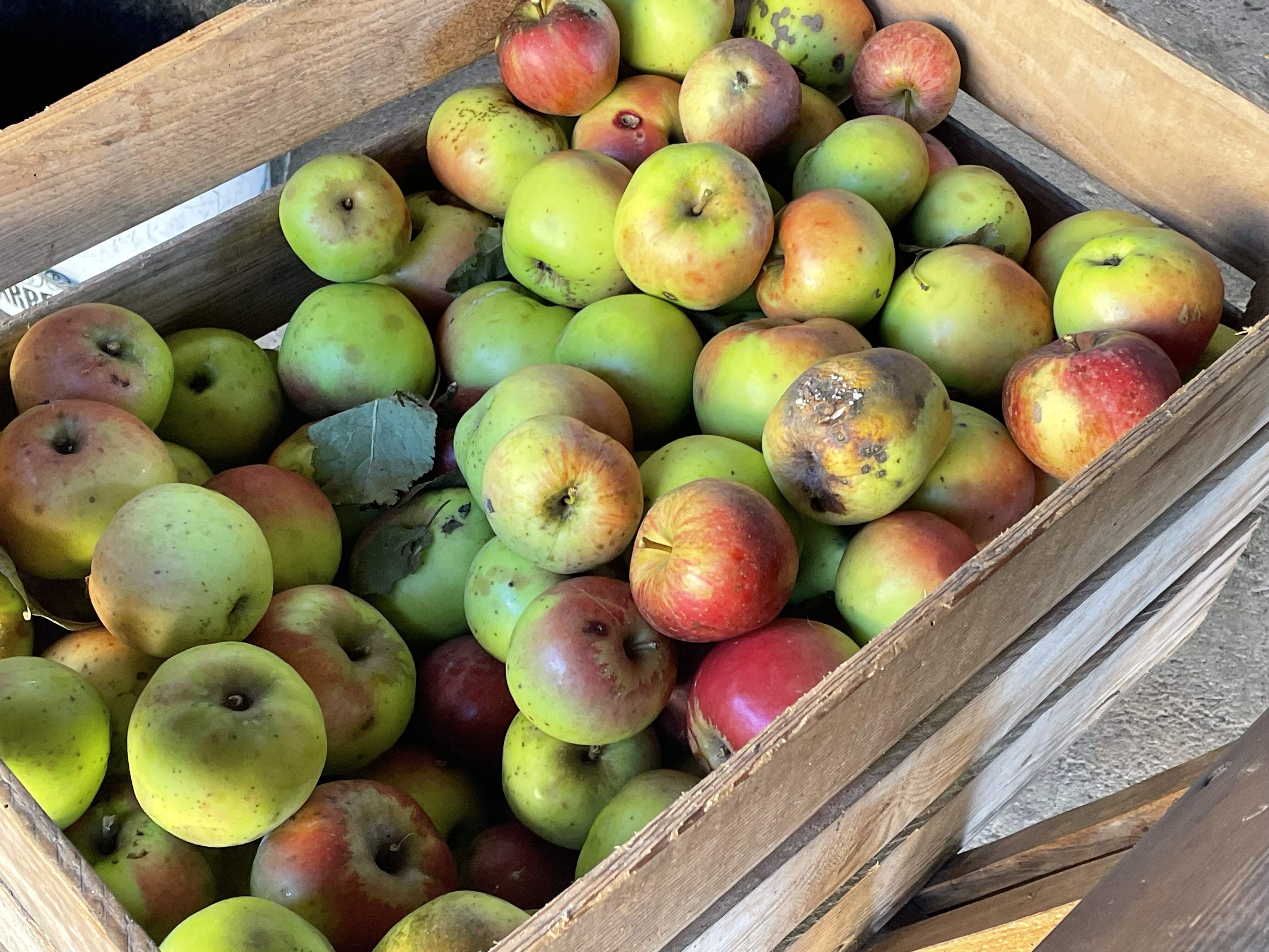 Kiste mit Äpfeln