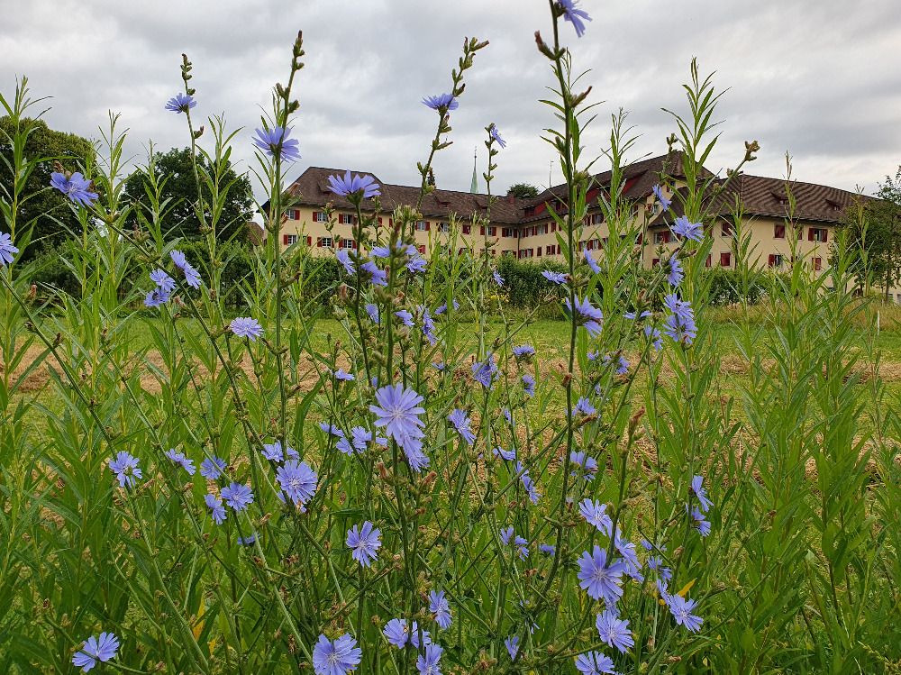 Offener Kapuzinergarten (Bioterra)
