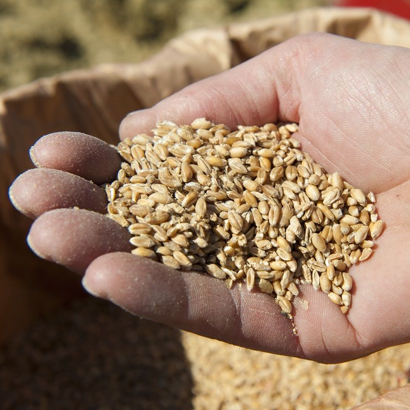 Heilfastenwoche vor Ostern